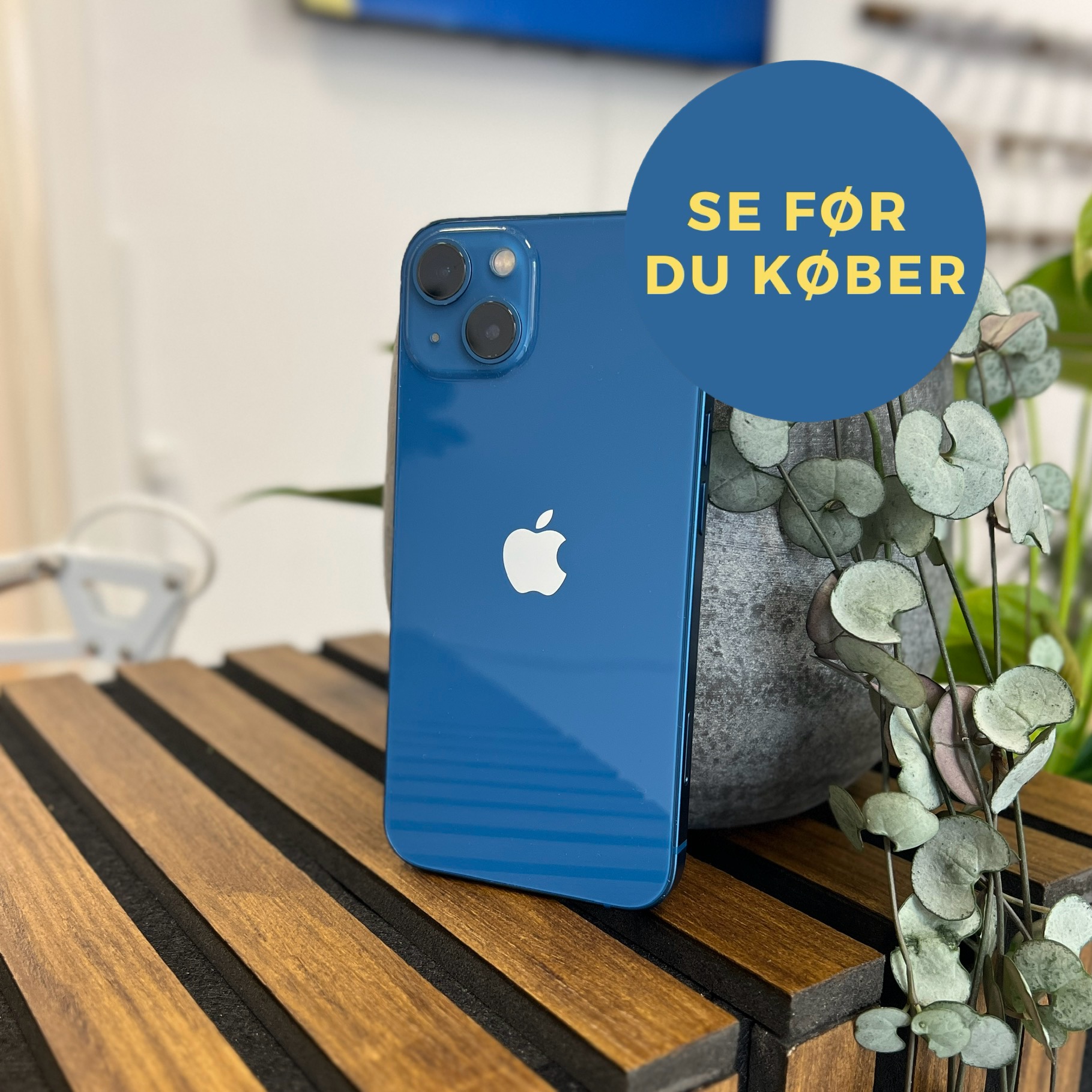 iPhone 13